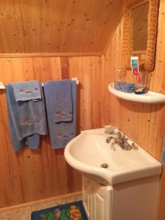 Kawarthas Home/Cottage on Buckhorn Lake - 2
