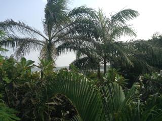 Bena House Kenya - 1