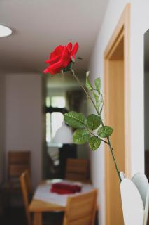 Ferienappartements Schweizer Haus - Stolpe - 9
