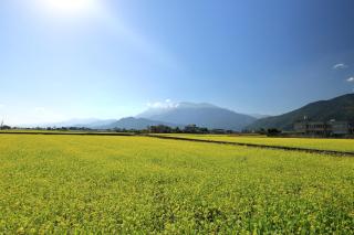 Farmhouse Stay - Ji'an - 0
