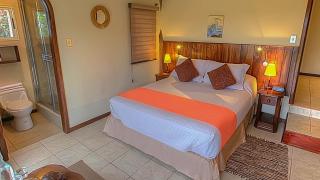 Semilla Verde Boutique Hotel - Puerto Ayora - 1
