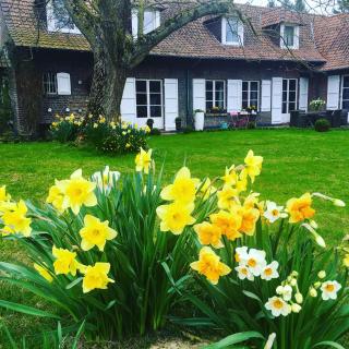 Le Clos de Bénédicte - 6