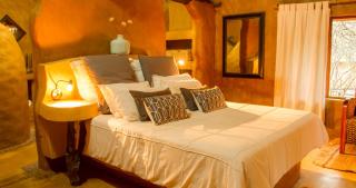 Little Bush Lodge - Hoedspruit - 9