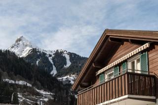 Alviera Ferienhaus - Schruns - 3