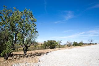 Desafios da Horta - 1