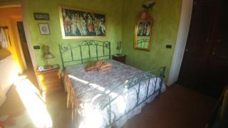 Agriturismo Parco Campofelice - Lombardore - 1