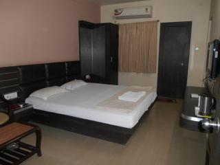 Hotel Saket Heritage - Raigarh - 8