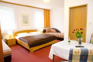 Pension Parzer Pressbaum bei Wien - Pressbaum - 7