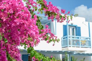 Aggeliki's Diamond - Agia Anna - 8