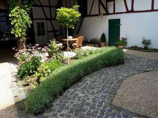 Ferienhaus-Loehndorf - Sinzig - 0