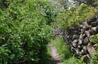 Bungalows Perayoc - 5