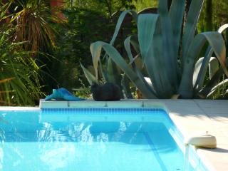 Les Pitounus - Les Arcs-sur-Argens - 5