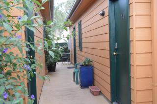 Prince Of Wales Hotel Gulgong - Gulgong - 5