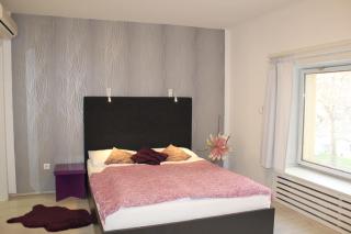 Design Studios SVI-MI - 5