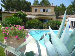 Les Pitounus - Les Arcs sur Argens - 3