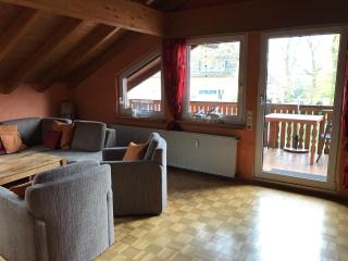 Messe CGN/DUS Großräumige Wohnung in guter Verkehrslage - Leverkusen - 8