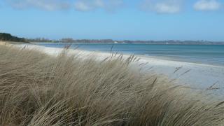 Urlaubsinsel - Juliusruh - 9