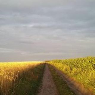 Ranczo - Działek - 3