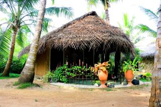Turtle Watch Cabana - Tangalle - 7