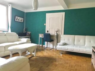 Appartement T3 Aux Deux Cigognes Gries - Gries - 7