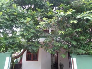 Herin Green House - Galle - 1