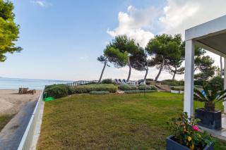 Las Gaviotas - 9