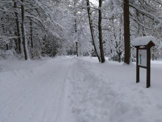 Pension - Der Berghof - Braunlage - 2