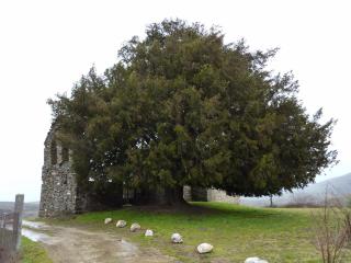 Casa de Abril 1 - San Cristóbal de Valdueza - 4