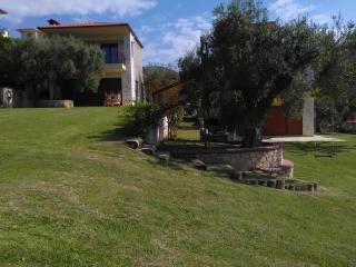 The Olive House - Nea Skioni - 7