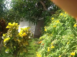 Bungalow le manikou - Le Robert - 9