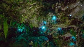 Jackson's Retreat Alpine Holiday Park - 1