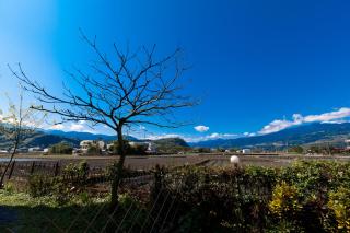 Alice Springs Homestay - Tianfu - 3