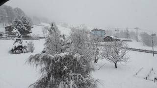 Appartamento Pista Stelvio - Bormio - 1