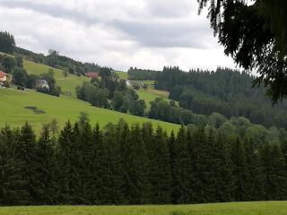 Schwarzwaldgasthaus Salenhof - Titisee-Neustadt - 5
