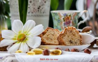 B&B Alle Tre Rose - Montignoso - 4