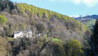 Domaine de la Jordanne - B&B - Saint-Cirgues-de-Jordanne - 7