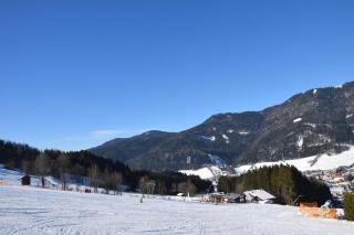 Alpengasthof Eichtbauer - Spital am Semmering - 3