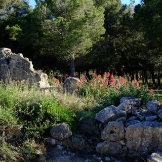 La Stregheria - La Franqui-Plage - 6