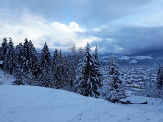 Pension Cabana Ionela - 6