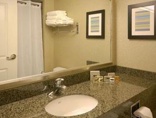 Holiday Inn Scottsdale North- Airpark by IHG - Scottsdale - 7