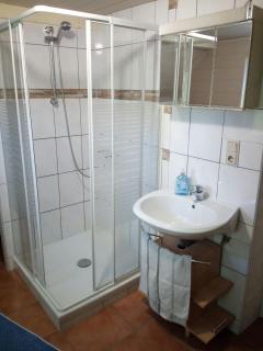 Ferienwohnung Linde - Marburg Biedenkopf mit 5 Zimmer und Balkon - Frechenhausen - 5