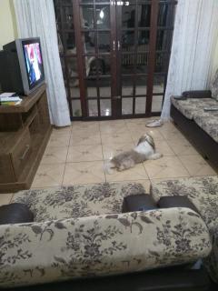 Meu pequeno paraíso - 1