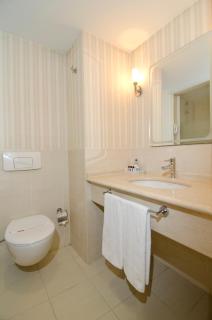 Midas Hotel - Ankara - 7