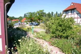 Haus Benny - Dranske - 5