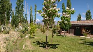 El Aleman - Barreal - 1