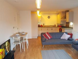 Vetrelax Chelmsford Apartment - 3