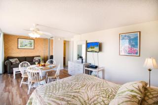Aloha Oasis, Ocean View Studio, Near Waikiki Beach - Honolulu - 9
