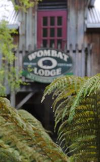 The Wombat Cottage - Tullah - 0
