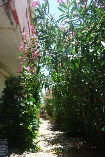 Maria Rooms - Agia Ermioni - 6