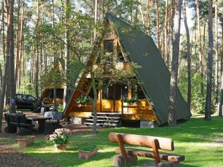 Chalet Nepumuk-1 by Interhome - Arendsee - 0